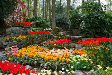 spring garden Keukenhof, Holland