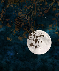 full moon collage