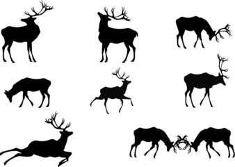 Set of deer's silhouettes
