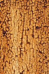 Hintergrund, korrodiertes Blech mit Lack