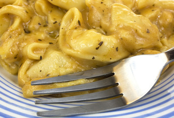 Close view tortellini meal with fork