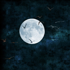 Obraz na płótnie Canvas full moon collage