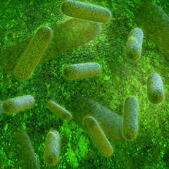 Bakterien - 3D Render