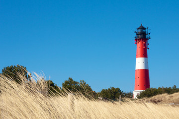 Lighthouse behind beach grass