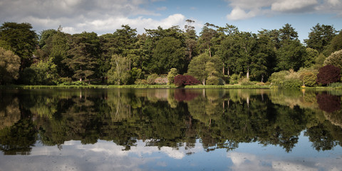 Fototapeta premium Mount Stewart Gardens