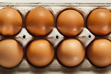 Organic Cage Free Brown Eggs