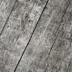 Wooden texture