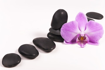 Obraz na płótnie Canvas Stones and orchid