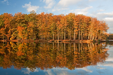 Wald im Herbstlaub spiegelt sich einem Teich