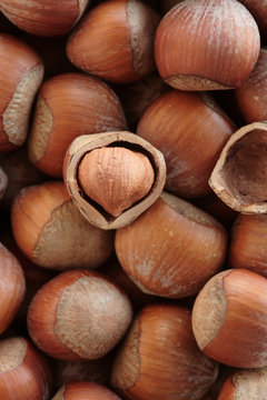 Hazelnuts in shells, full frame