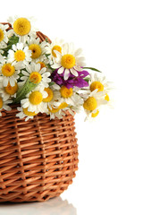 Beautiful wild flowers in basket, isolated on white