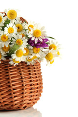 Fototapeta na wymiar Beautiful wild flowers in basket, isolated on white