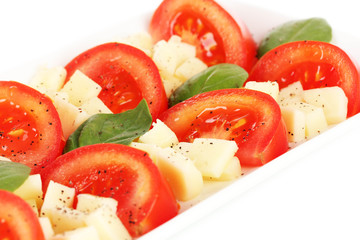 Cheese mozzarella with vegetables in the plate isolated on