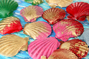 Colorful seashells  background