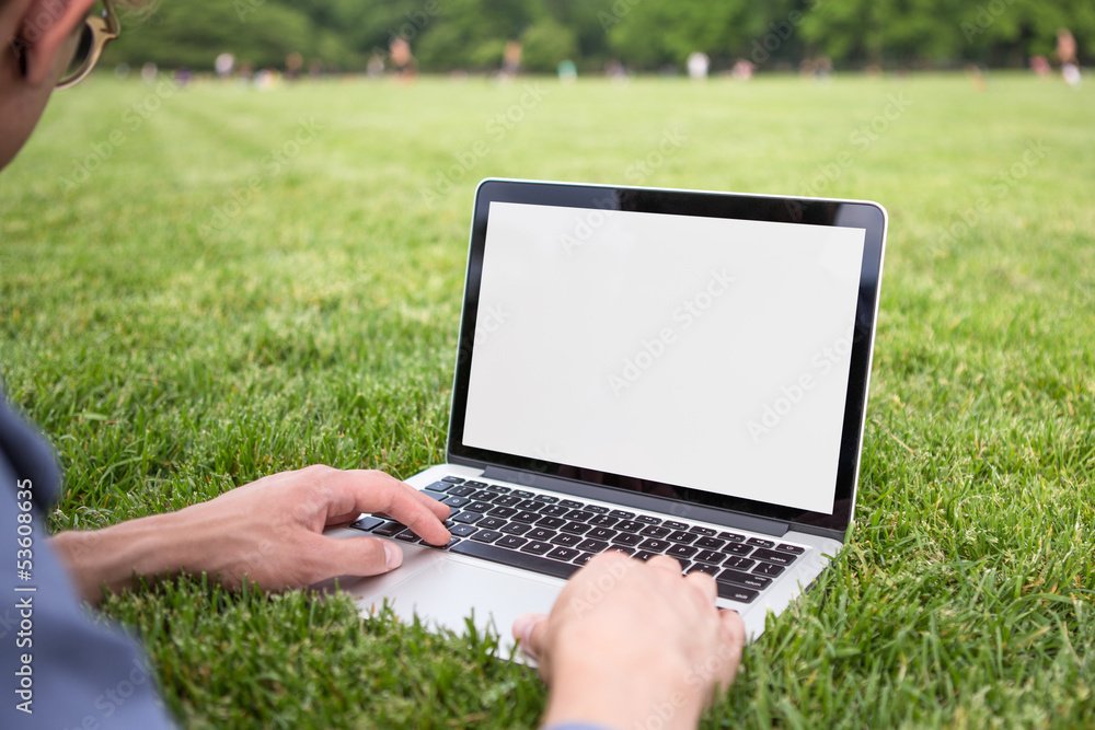 Wall mural Man using laptop in the park summer