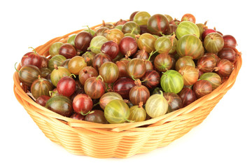 Fresh gooseberries in wicker basket isolated on white
