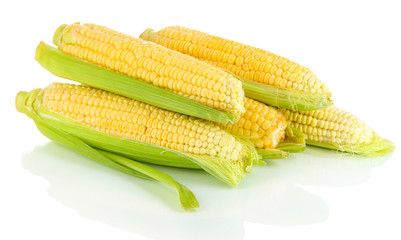 Fresh corn vegetable isolated on white