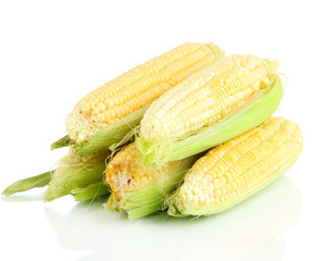 Fresh corn vegetable isolated on white
