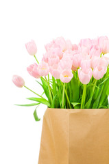 Tulips in the paper bag against white background