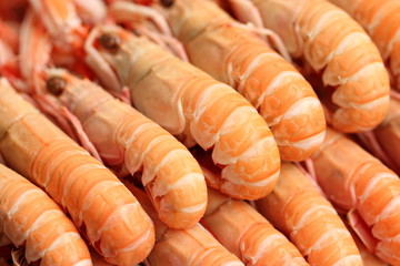 Queues de langoustines  fraichement cuites