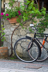 Fototapeta na wymiar Two bicycles, vine, flowers and an old house by the sea
