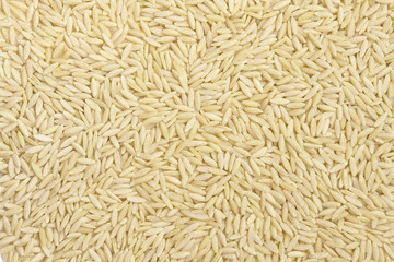 Barley Noodles