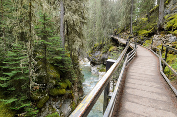 Johnston Canyon Lower Falls