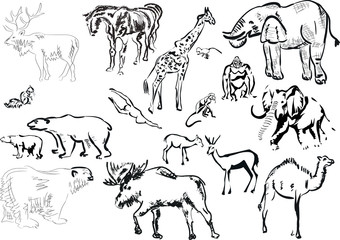collection of isolated animals sketches