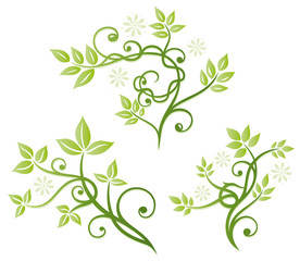 Blätter, Laub, Ranken, vector set green