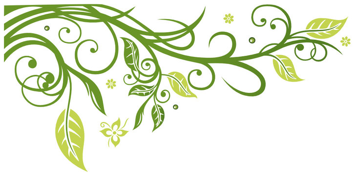 DIE 19,074 BESTEN BILDER, STOCK-FOTOS UND -VEKTORGRAFIKEN ZU „Blumen