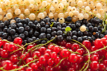 berries