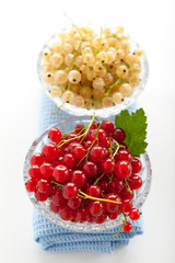 white and redcurrant
