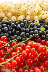 berries
