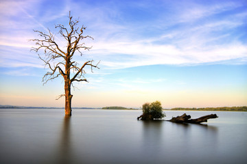 Fototapeta na wymiar Stare drzewa w jeziorze o wschodzie słońca krajobraz