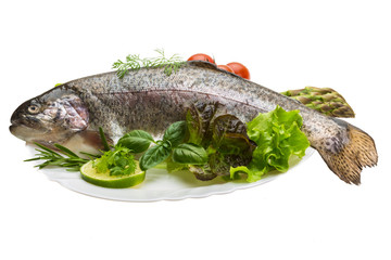 Fresh raw rainbow trout