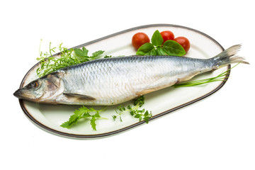 Marinated herring with herbs