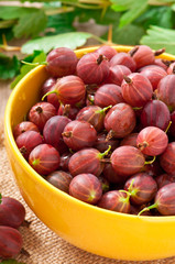 red gooseberries in a yellow bowl