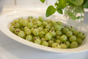 Frische Stachelbeeren