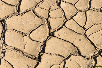 dry land
