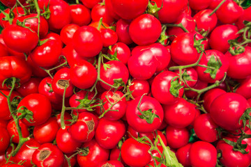 Tomatoes