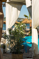 Beach Summer restaurant