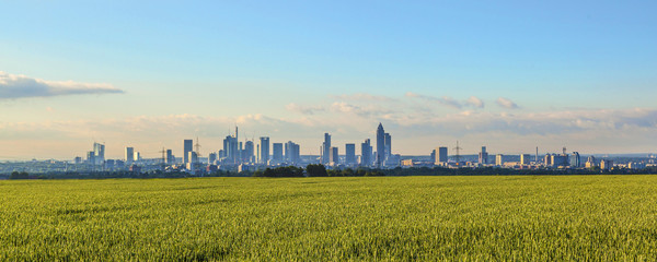 skyline of Frankfurt with fields in foreground