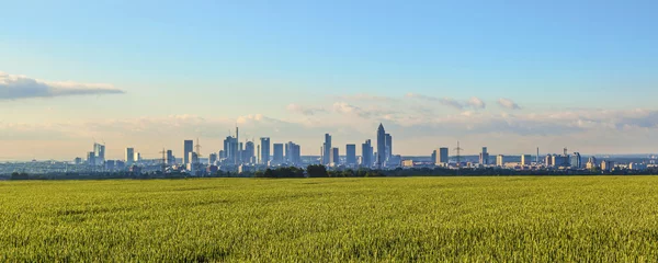 Foto op Canvas skyline of Frankfurt with fields in foreground © travelview