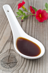 cucchiaio di salsa di soia