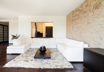 interior luxury apartment, beautiful living room