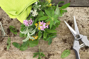 Bunch of fresh herbs and garden scissor on wooden background