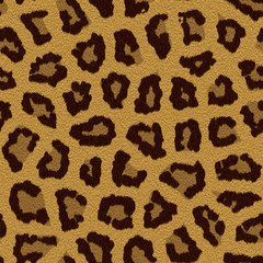 Texture of a leopard colouring
