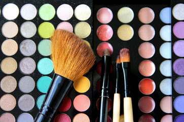 Makeup palette and brushes