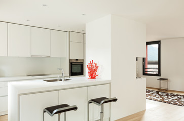 interior new house, modern white kitchen