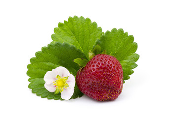 fresh strawberry